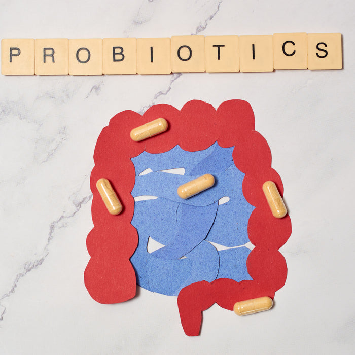 A Guide to Choosing the Right Probiotic Supplement for Your Health