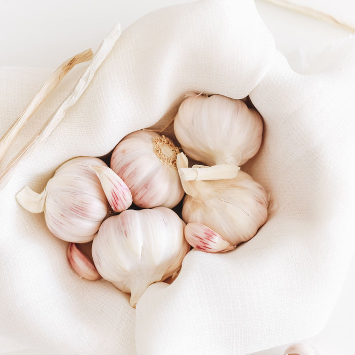 Immunity Boosters - Garlic and Aged Garlic Extracts