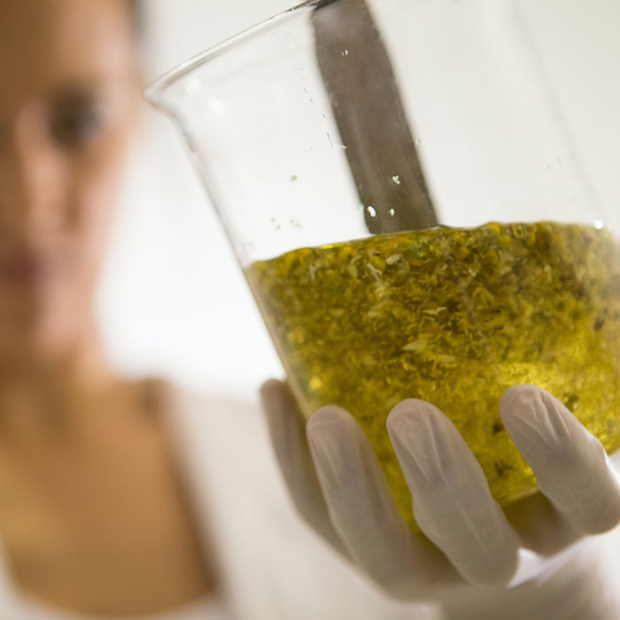 Bee Propolis - 6 Health Benefits of Propolis