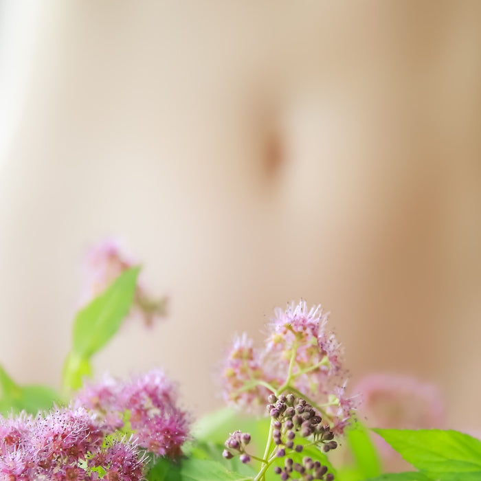 Best Probiotics for a Healthy Immune System