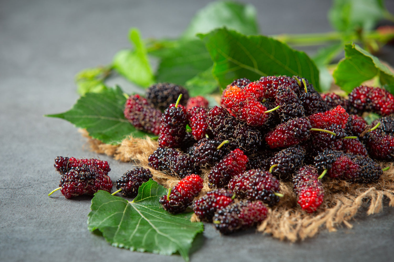The Skin-Loving Benefits of Mulberries: Nature’s Secret to Glowing, Youthful Skin ✨
