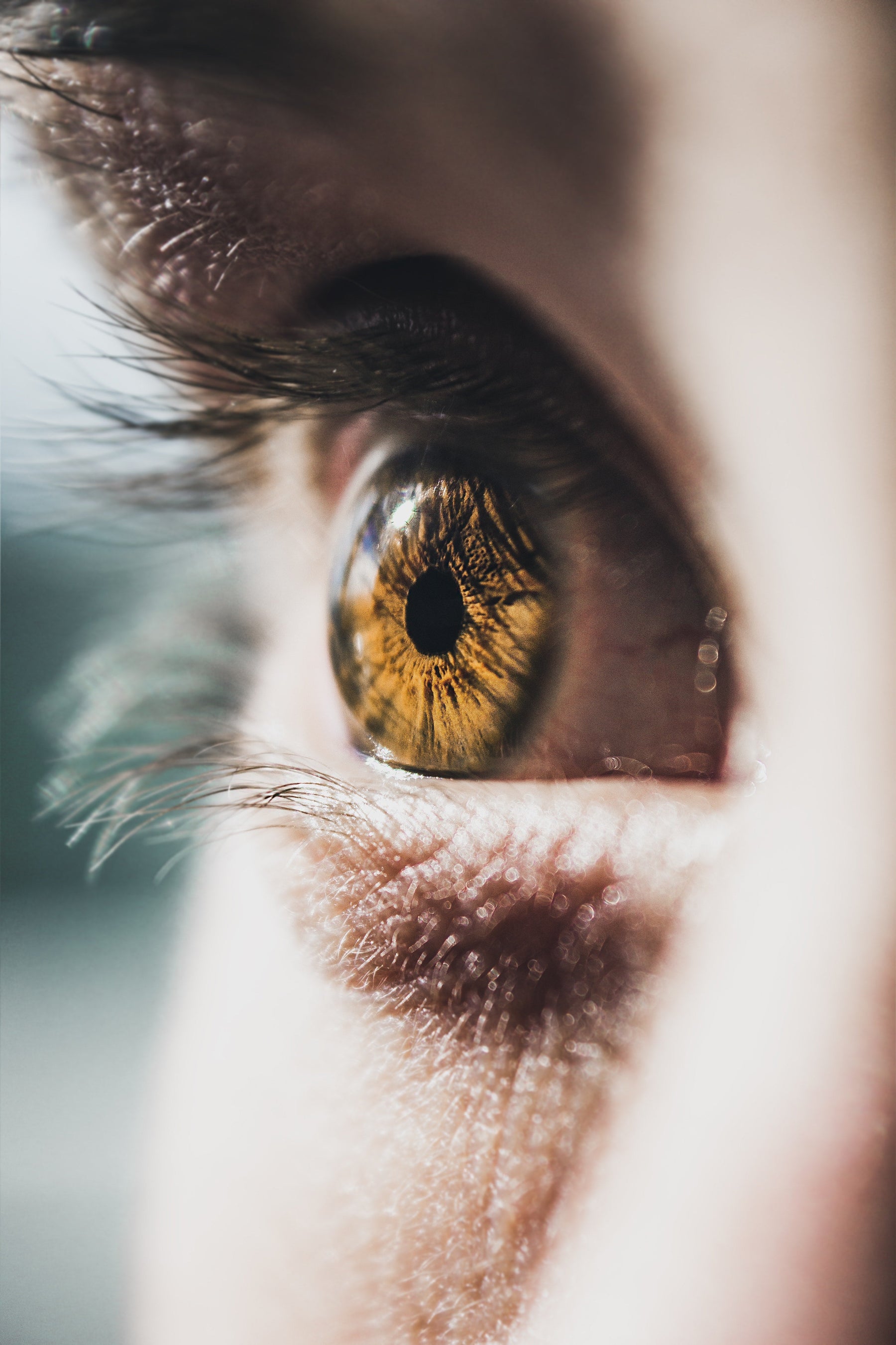 Pycnogenol for Eye Health: See The Difference