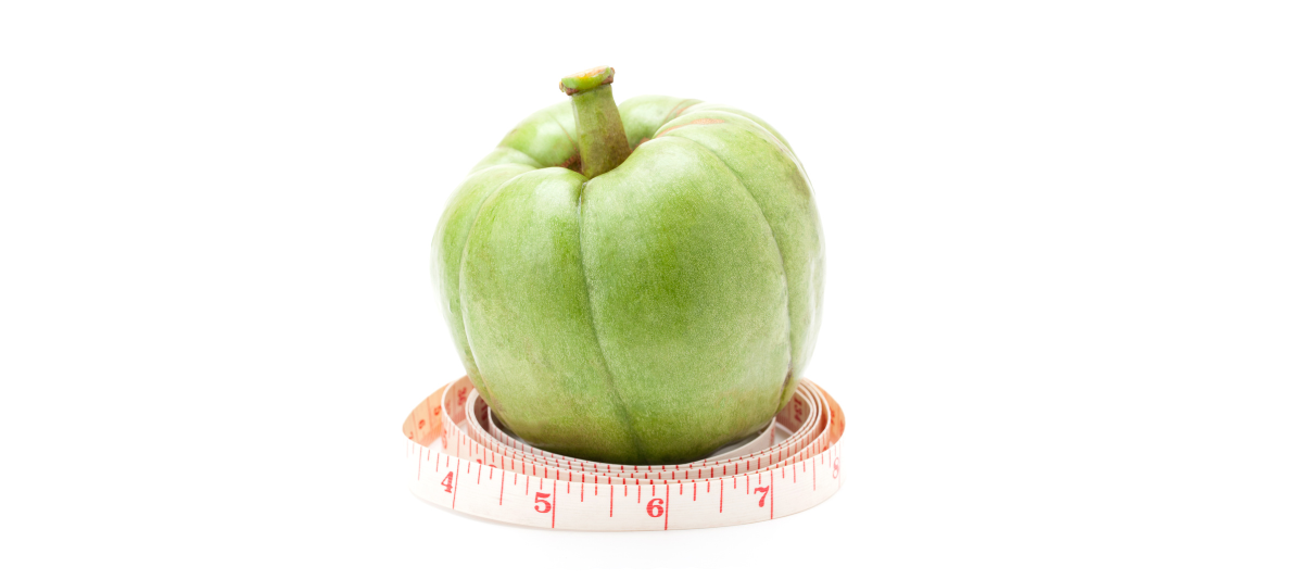 Garcinia Cambogia - Lose Weight with Fat and Carb Blockers Made From Herbs