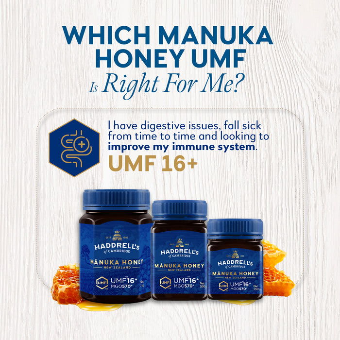 [Bundle of 3] Haddrell's of Cambridge Manuka Honey UMF® 16+ 500g
