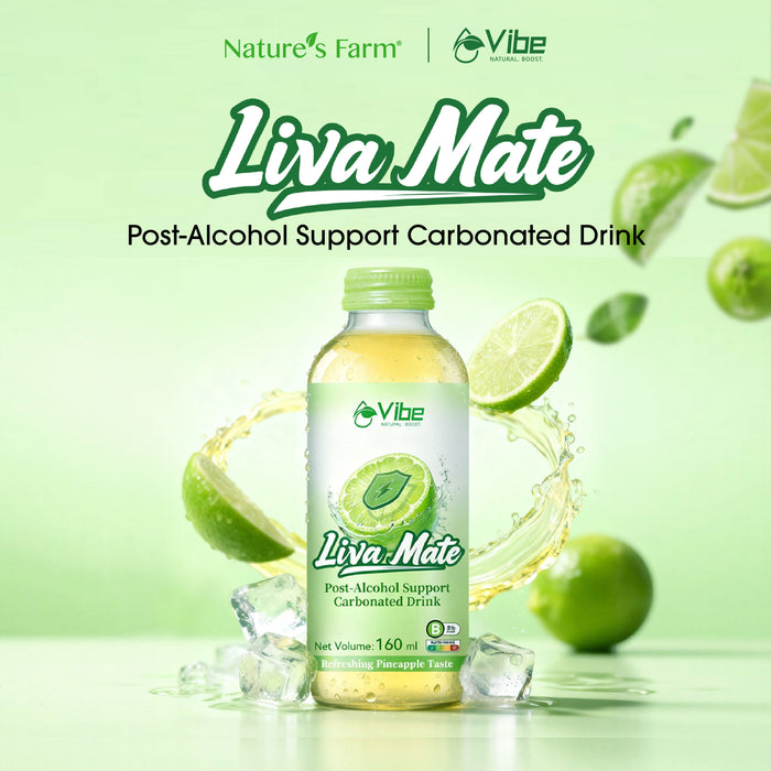 Vibe Liva Mate 6s - Post-Alcohol Support Drink