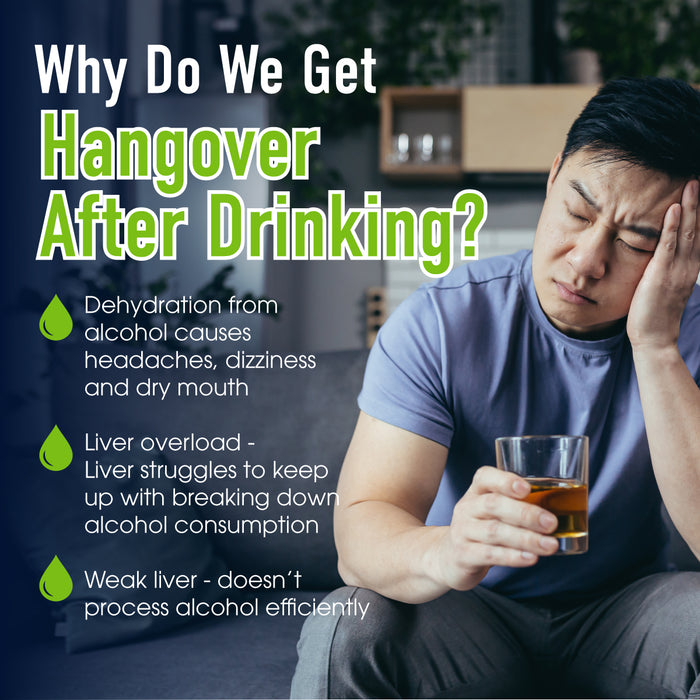 Vibe Liva Mate 6s - Post-Alcohol Support Drink