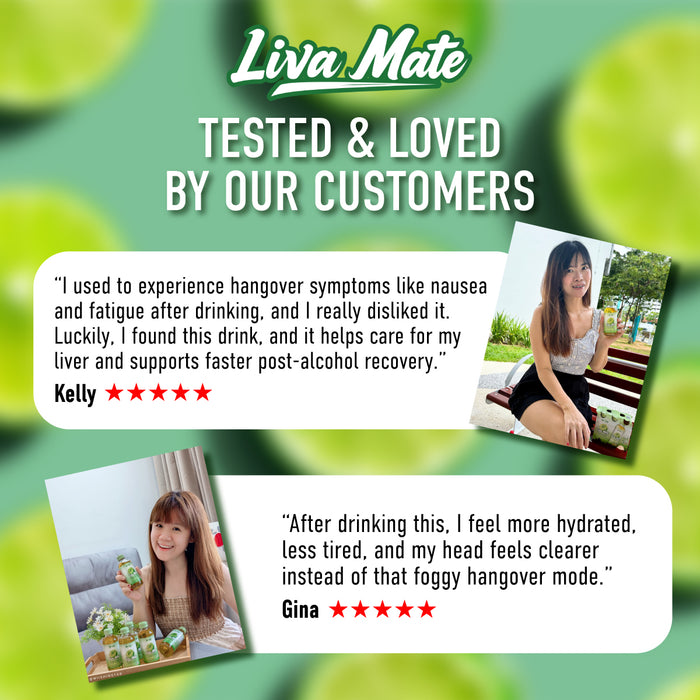 Vibe Liva Mate 6s - Post-Alcohol Support Drink