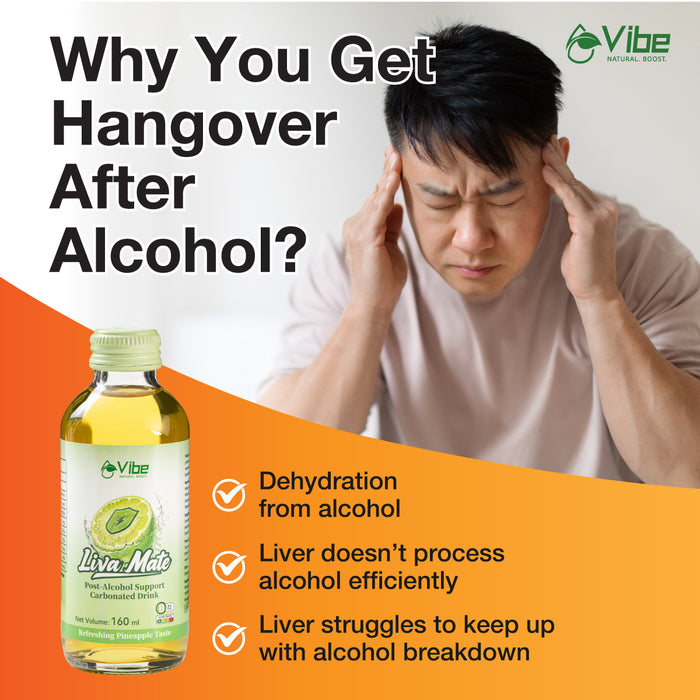 Vibe Liva Mate 6s - Post-Alcohol Support Drink