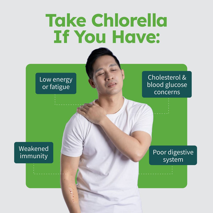 Nature's Farm Chlorella 291mg, 300s