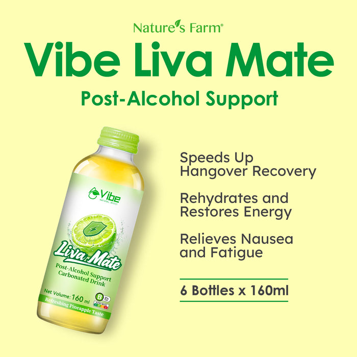 Vibe Liva Mate 6s - Post-Alcohol Support Drink